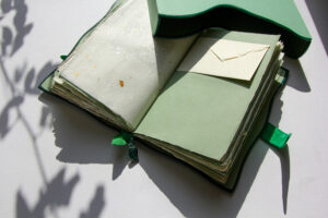 Halina Poświatowska - Ogień zielonych księżyców. Kurtiak i Ley Wydawnictwo Artystyczne.