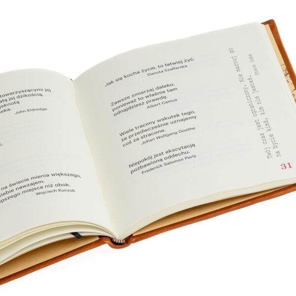 Pokrzepnik skóra Kurtiak i Ley Wydawnictwo Artystyczne