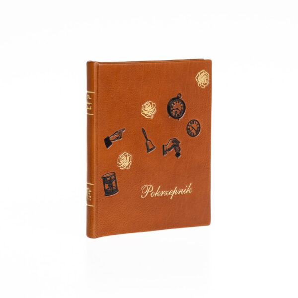 Pokrzepnik skóra Kurtiak i Ley Wydawnictwo Artystyczne